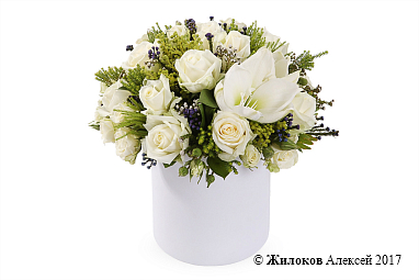 ����� ��������� ����� � ������� �������