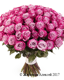 ����� 101 ���� ��� �����