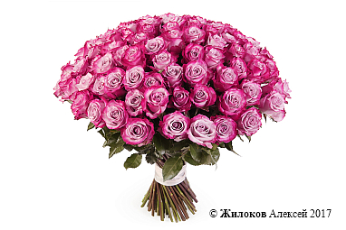 ����� 101 ���� ��� �����