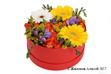 ����� ������������� �������� � ������� �������