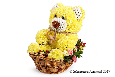 ���������� ������� �����