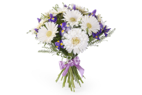 ����� � ��������� �� �������� ����