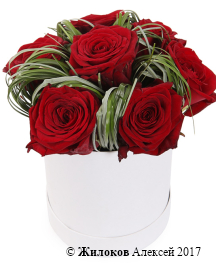 ����� 7 ��� � ������� ������� (� �������)