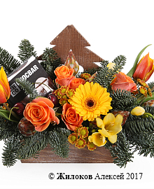 ���������� ������, ����! � �����