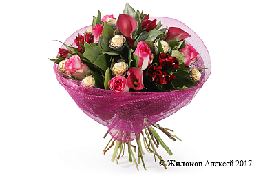 ����� ������� �������