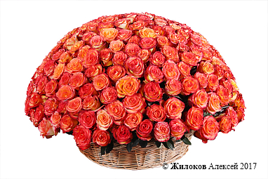 ����� 301 ���� ��� ������ � �������