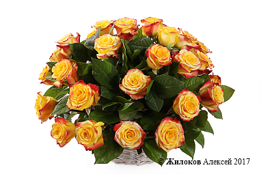 ����� 35 ��� ��� ����� � �������