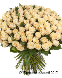 ����� 101 ���� �����