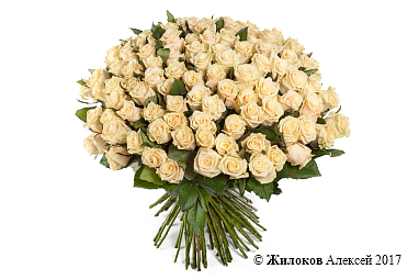 ����� 101 ���� �����