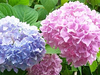 ���� ������� � ����������