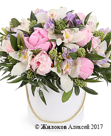 ����� ���������� ����� � ������� �������