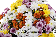 Букет 31 кустовая хризантема