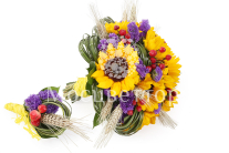 ����� ������� � ������������ ������