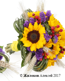 ����� ������� � ������������ ������