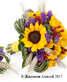 ����� ������� � ������������ ������