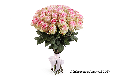 ����� 51 ���� ��������