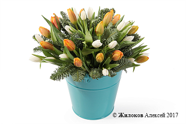 ���������� ���� ����� � �����