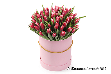 ����� 51 ����������� ������� � ������� ������� �������, ����