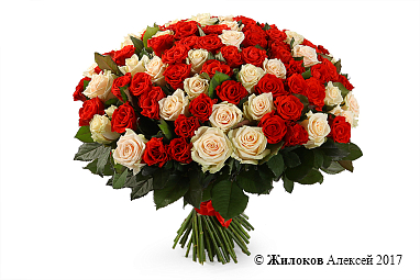 ����� 101 ���� ���� �����/��� ����