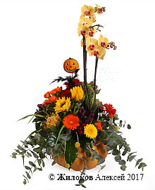 ���������� �� ���