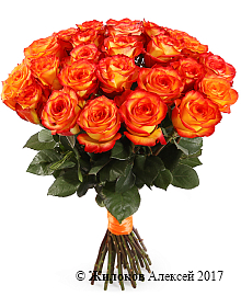 ����� 25 ��� ��� ������