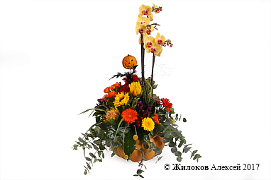 ���������� �� ���