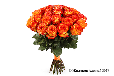 ����� 25 ��� ��� ������