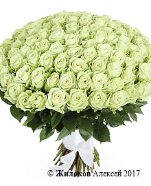 ����� 101 ���� ���� ��