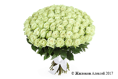 ����� 101 ���� ���� ��