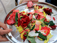 ��� ������ � ������� �� �������