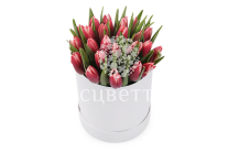 ����� 25 ����������� ��������� � ����� ������� �������, ����