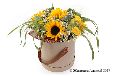 ����� � ������������ ���� � ������� � ������� �������