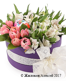 ����� �������� ������ � ������� �������