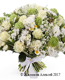 ����� ������� � �������