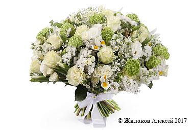 ����� ������� � �������