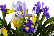 Букет с ирисами От сердца