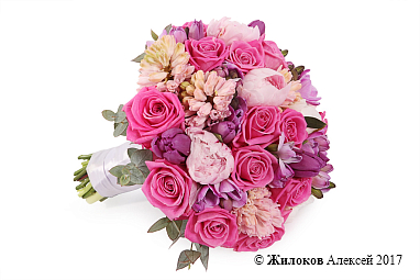 ����� ������� ��������