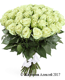 ����� 51 ���� ���� ��