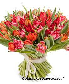 ����� 101 �������, ������-�������