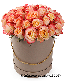 ����� 35 ��� ������ � ������� �������