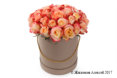 ����� 35 ��� ������ � ������� �������