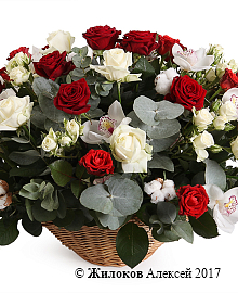 ����� ����� �������� � �������