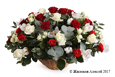 ����� ����� �������� � �������