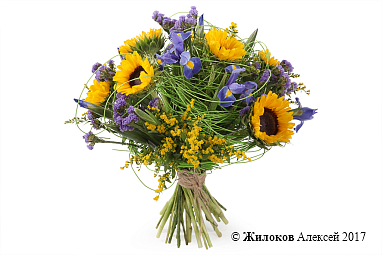 ����� � ������������ ����� �����