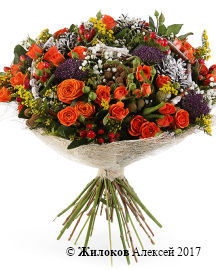 ����� ����� ������