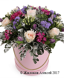 ����� ������ ���� � ������� �������