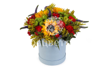 ����� � ������������ ����������� ����� � ������� �������