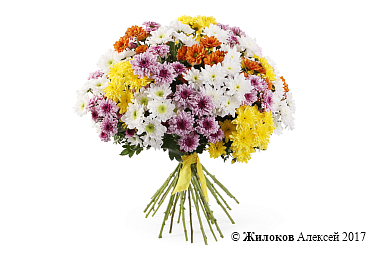 ����� 31 �������� ����������