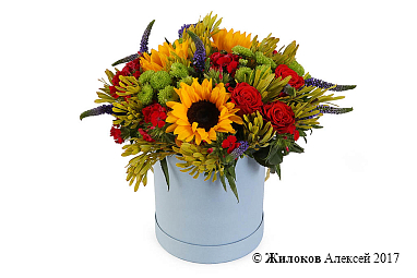 ����� � ������������ ����������� ����� � ������� �������