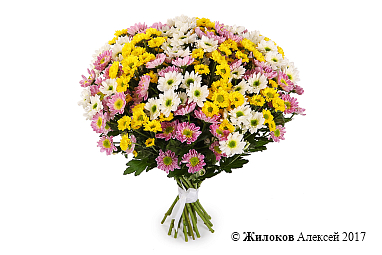 ����� 31 ���������� �������